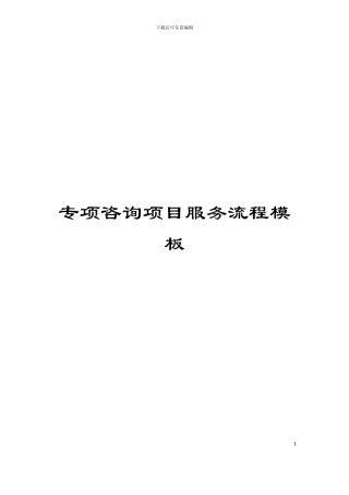 专项咨询项目服务流程模板