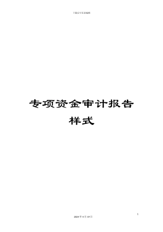 专项资金审计报告样式