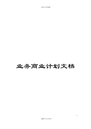 业务商业计划文档