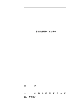 东海岸营销推广策划报告