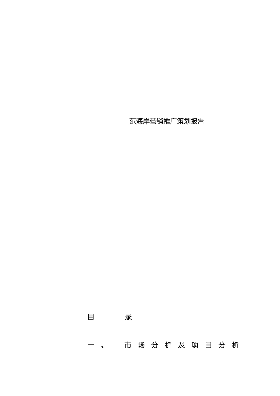 东海岸营销推广策划报告模板_第2页