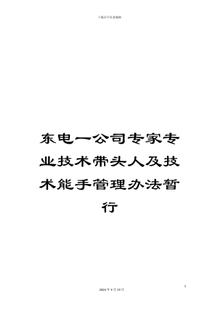 东电一公司专家专业技术带头人及技术能手管理办法暂行
