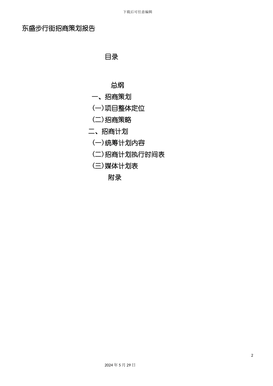 东盛步行街招商策划报告_第2页