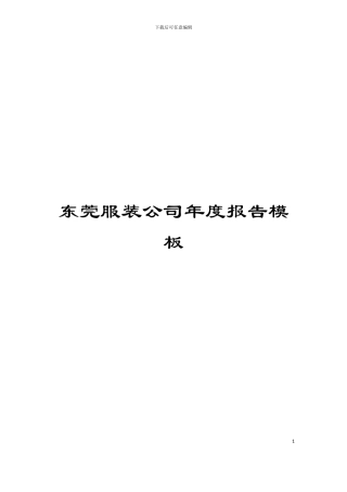 东莞服装公司年度报告模板