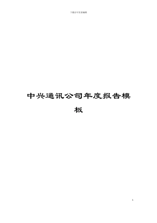 中兴通讯公司年度报告模板