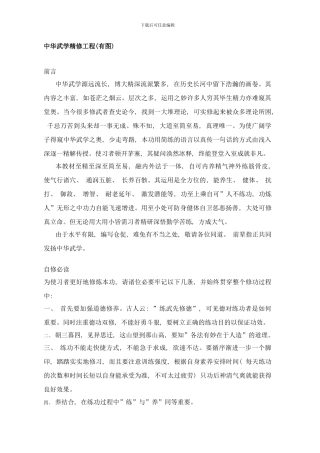 中华武学精修工程有图样本