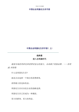 中国企业利基化生存手册