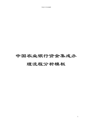 中国农业银行资金集成办理流程分析模板