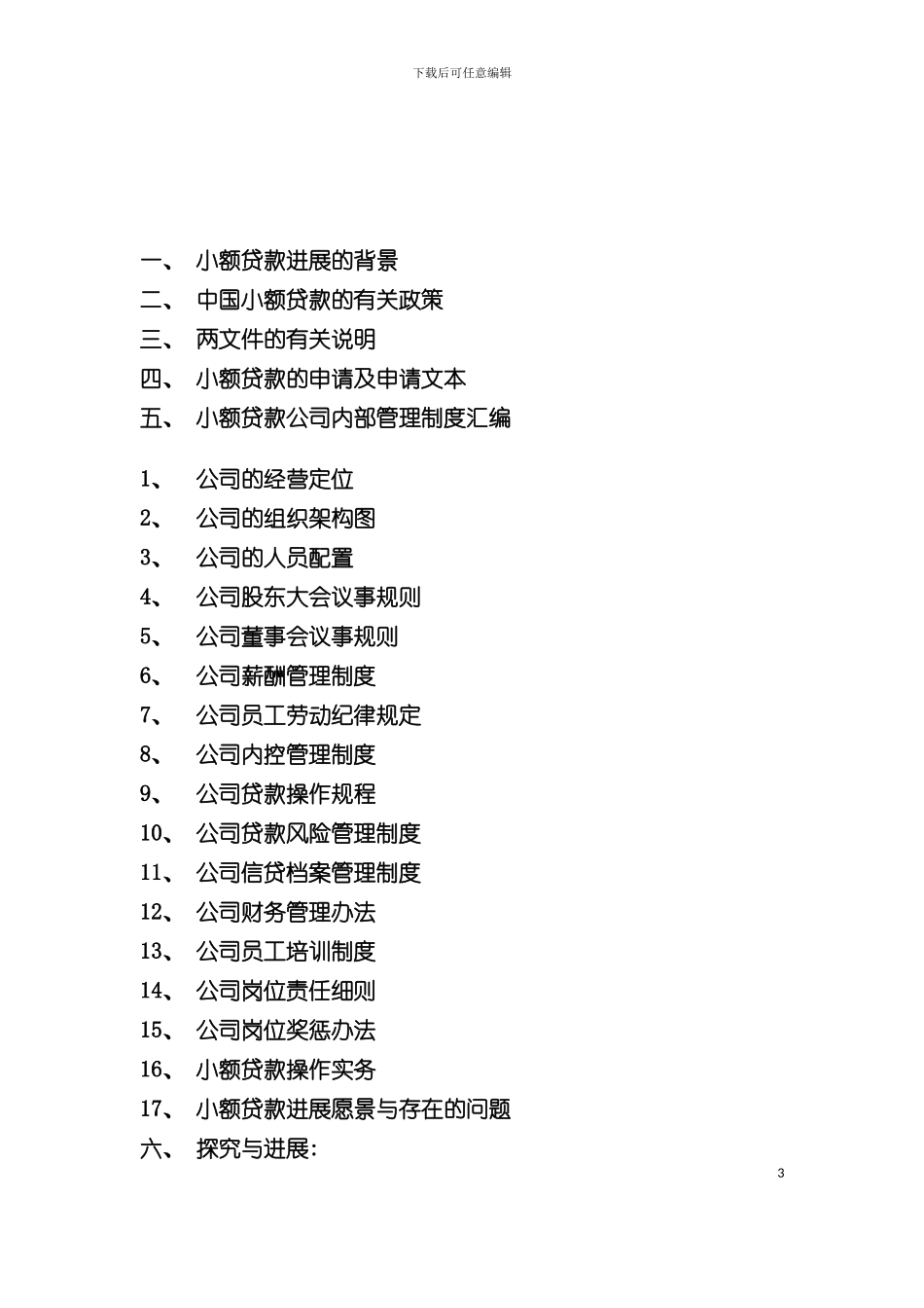 中国小额贷款实用手册模板_第3页