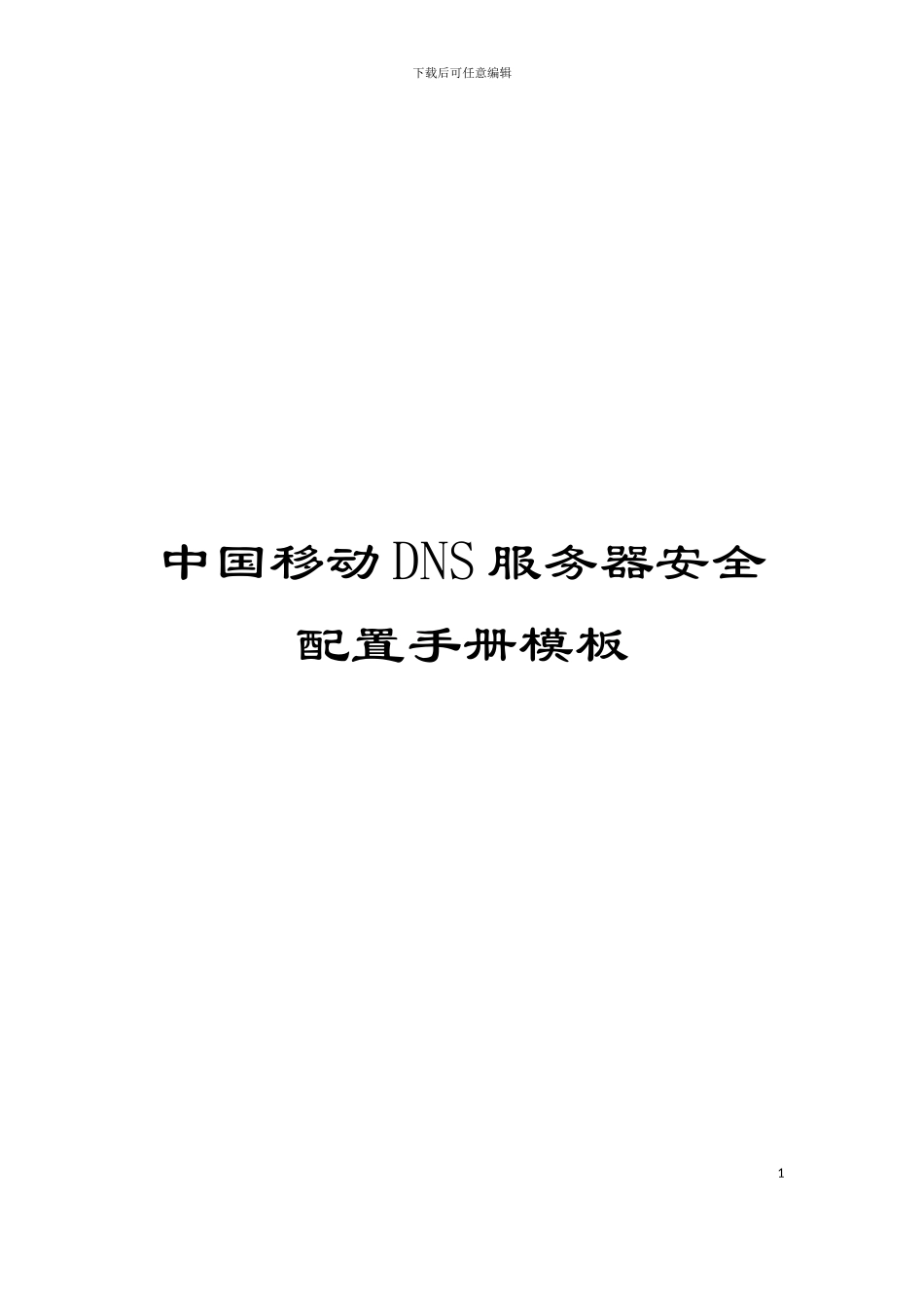 中国移动DNS服务器安全配置手册模板_第1页