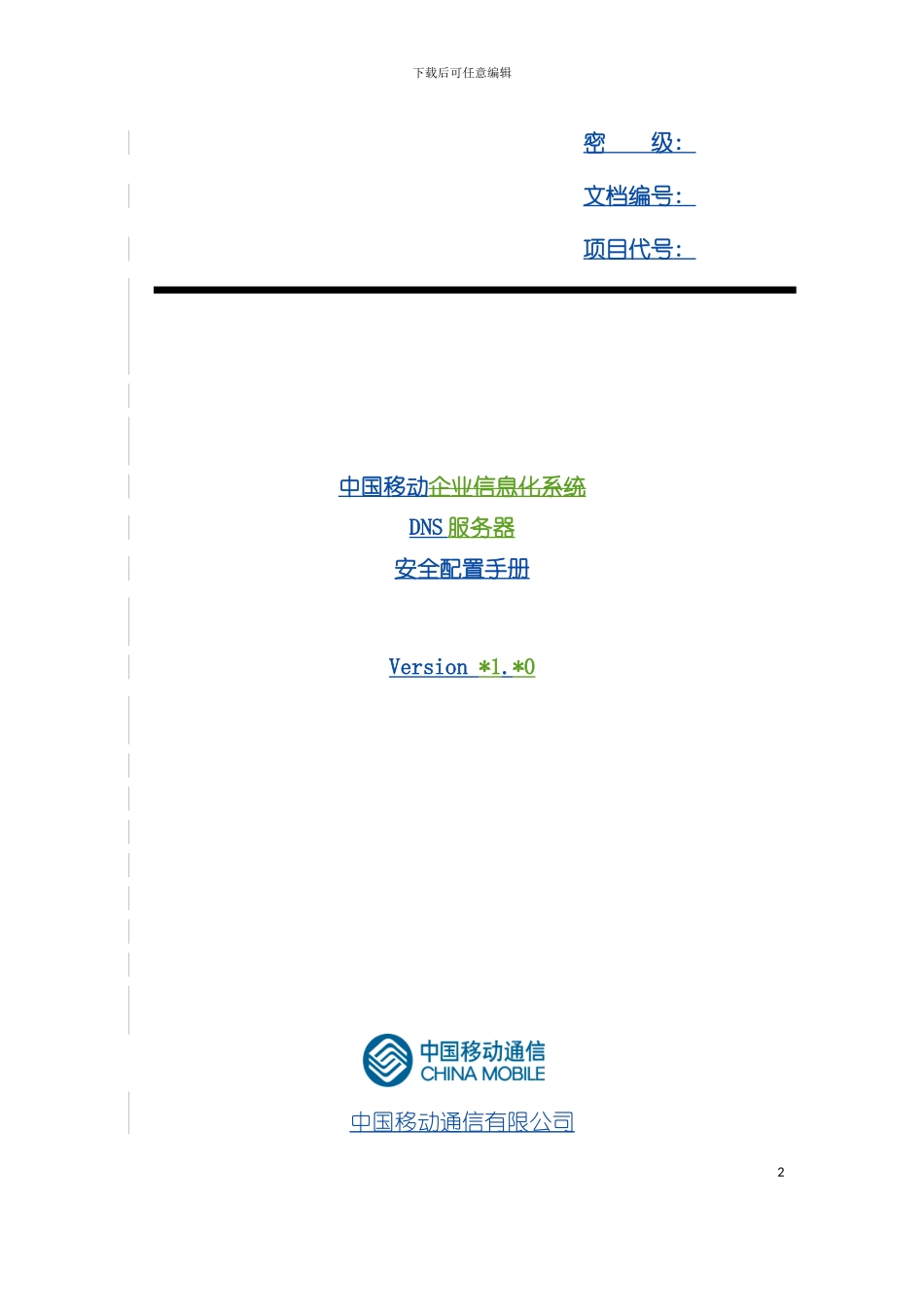 中国移动DNS服务器安全配置手册模板_第2页