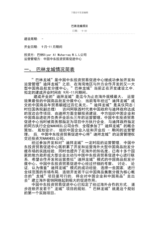 中国龙城项目样本