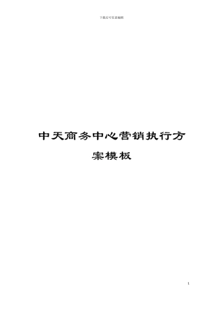 中天商务中心营销执行方案模板