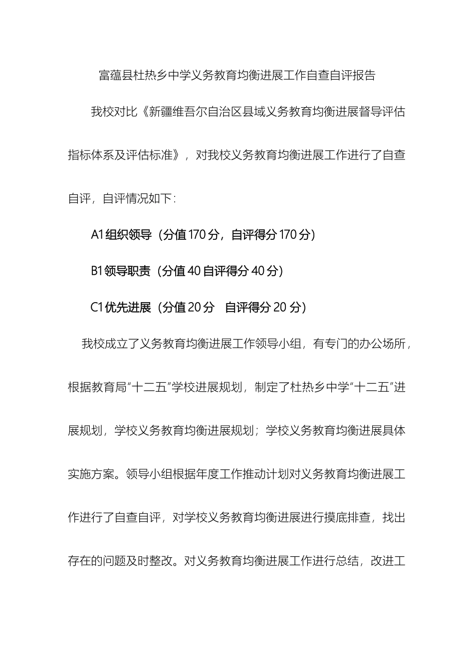 义务教育均衡化发展自查自评报告_第2页