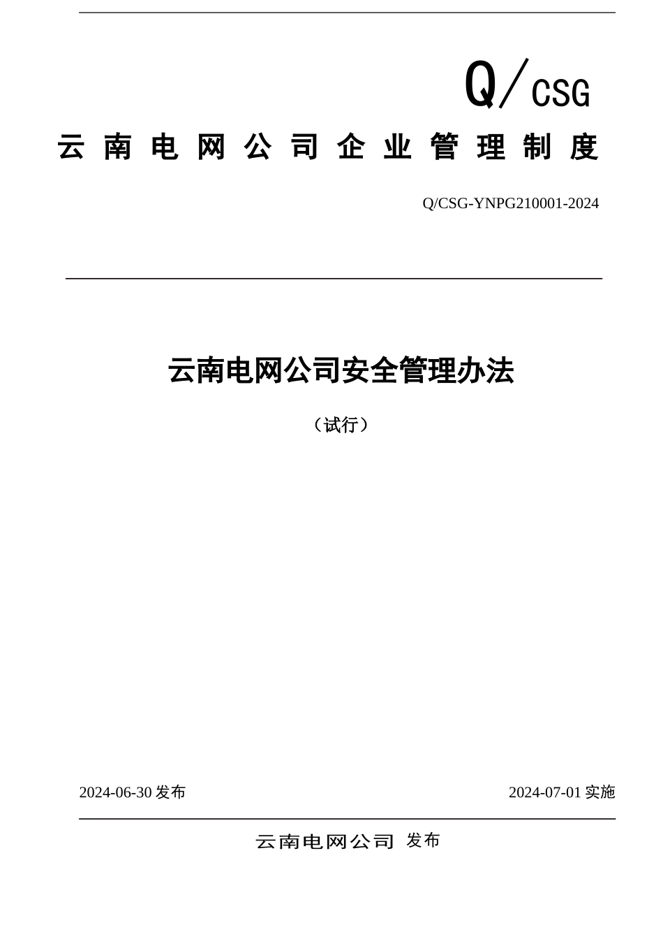 云南电网公司安全管理办法规定_第2页