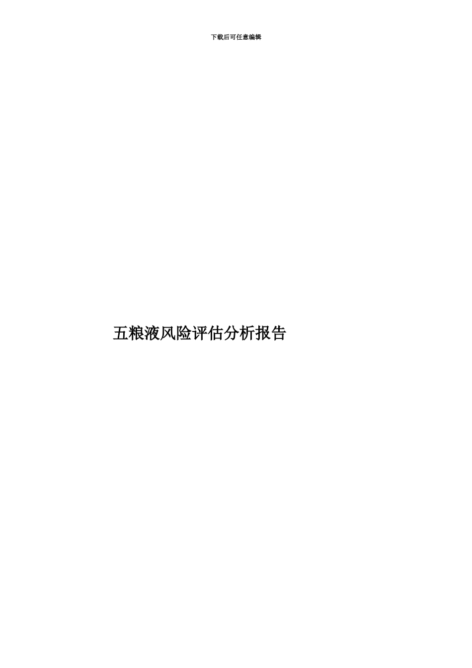 五粮液风险评估分析报告_第1页