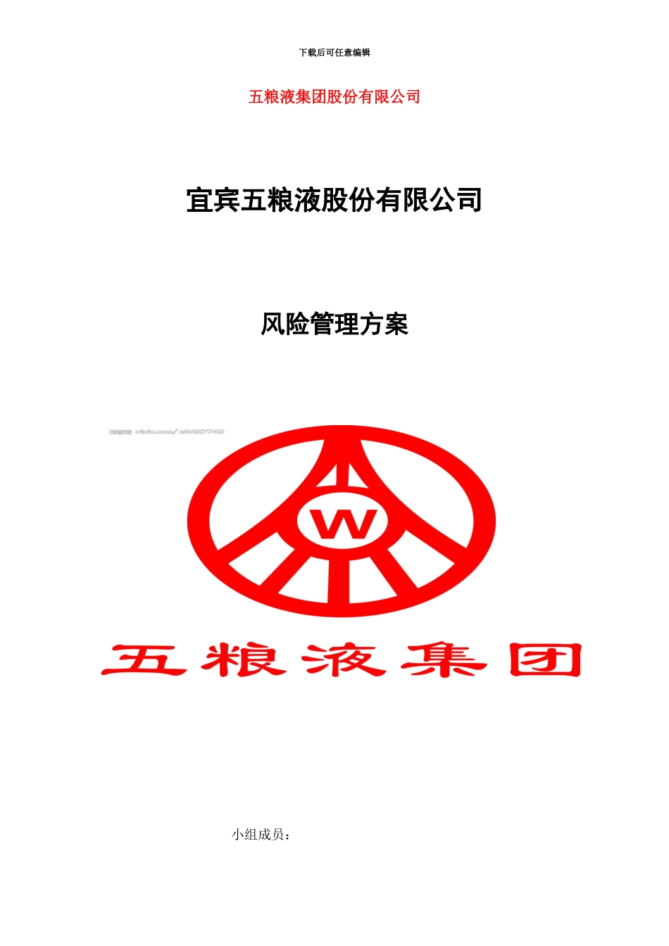 五粮液风险管理控制方案_第2页
