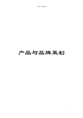 产品与品牌策划模板