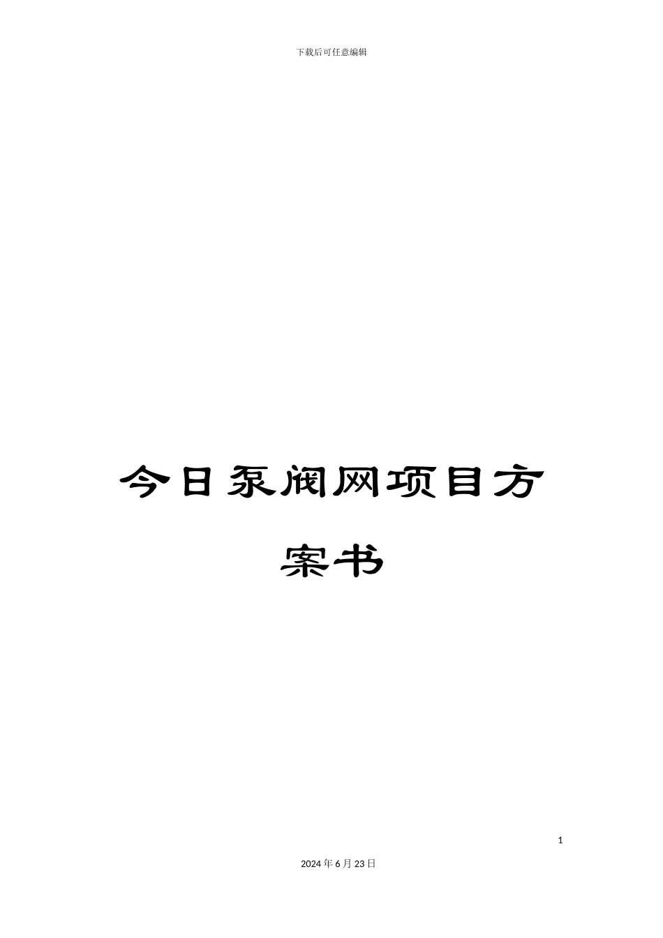 今日泵阀网项目方案书_第1页