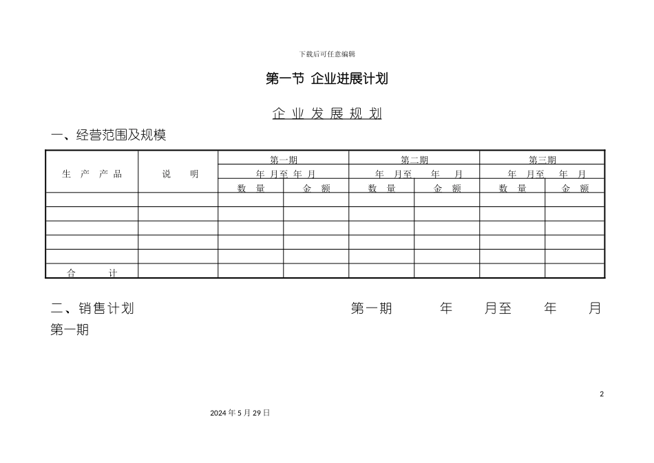 企业发展规划表单_第2页