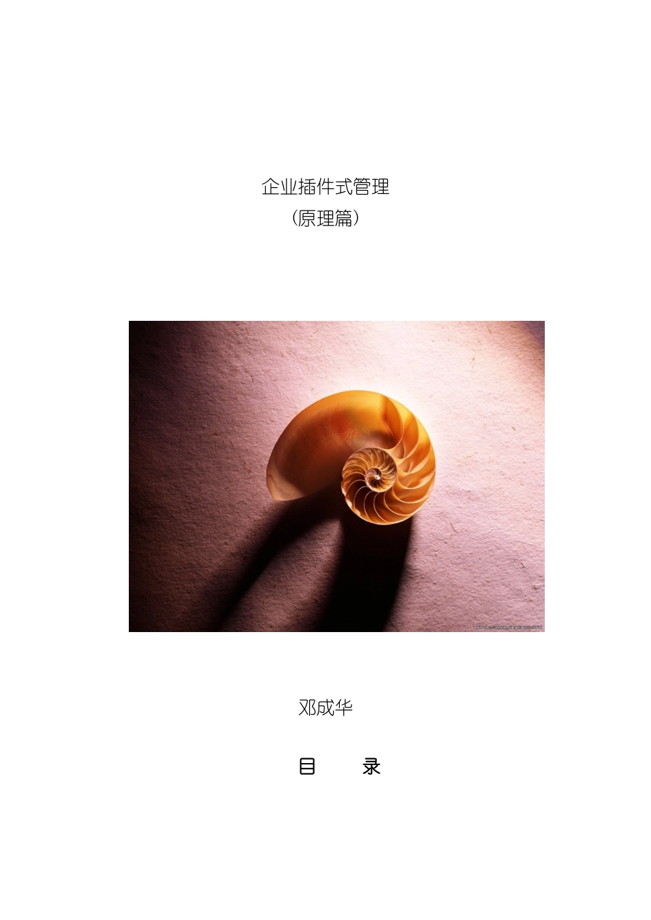 企业插件式管理手册制度_第2页