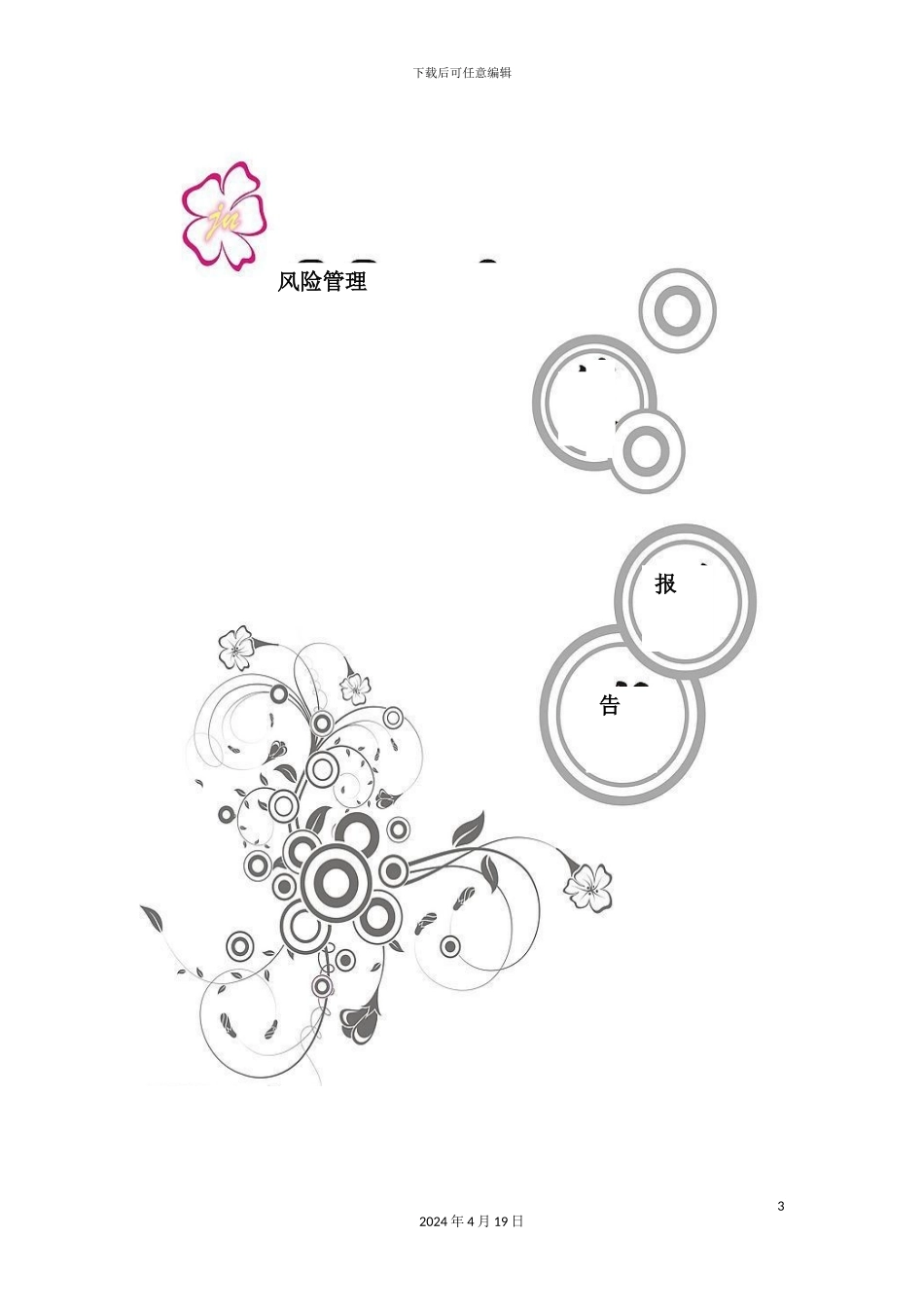 企业风险管理报告_第3页