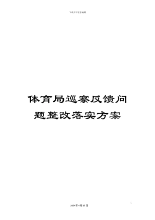 体育局巡察反馈问题整改落实方案