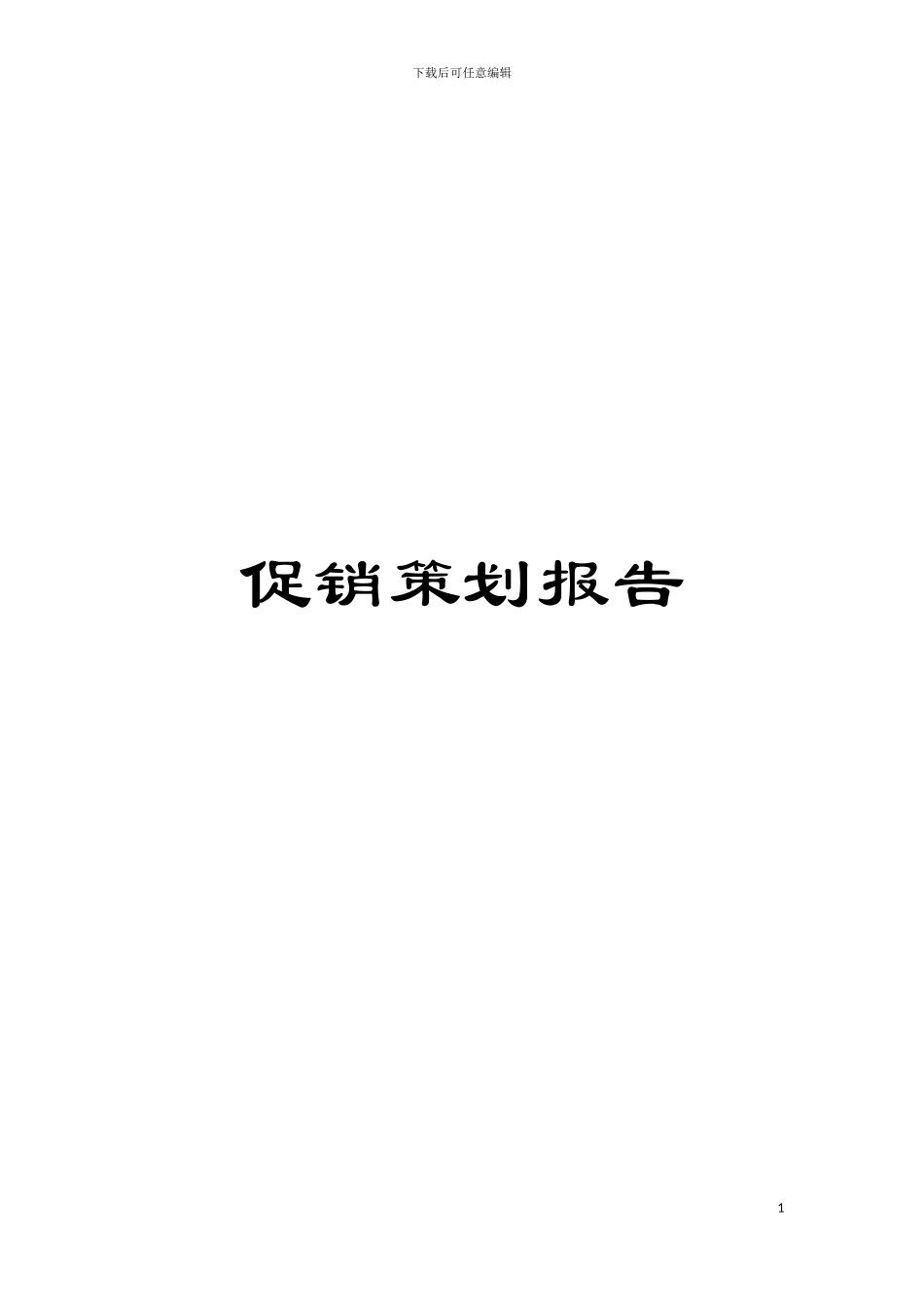 促销策划报告_第1页