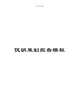 促销策划报告样本