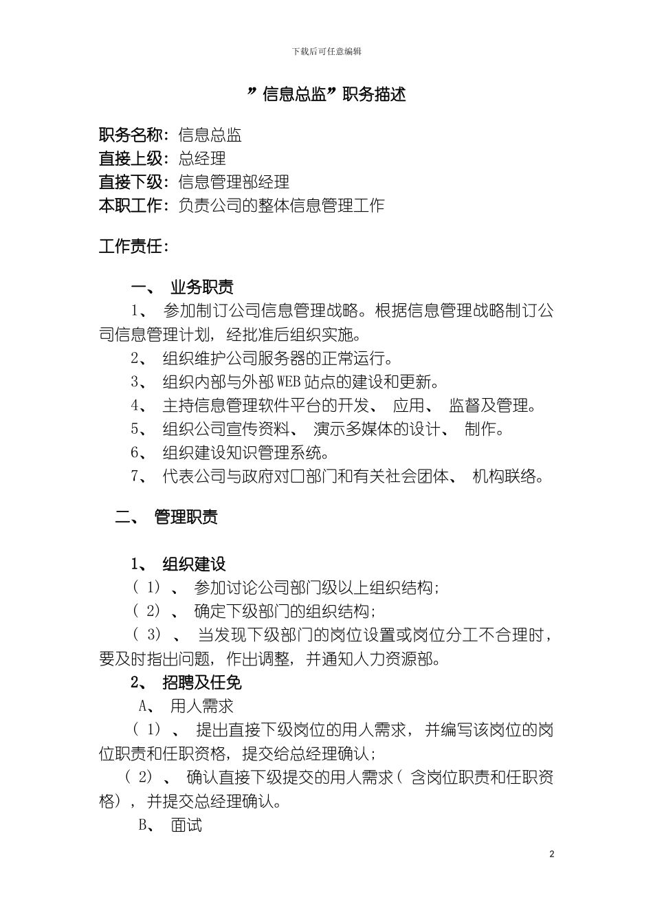 信息总监职务描述模板_第2页