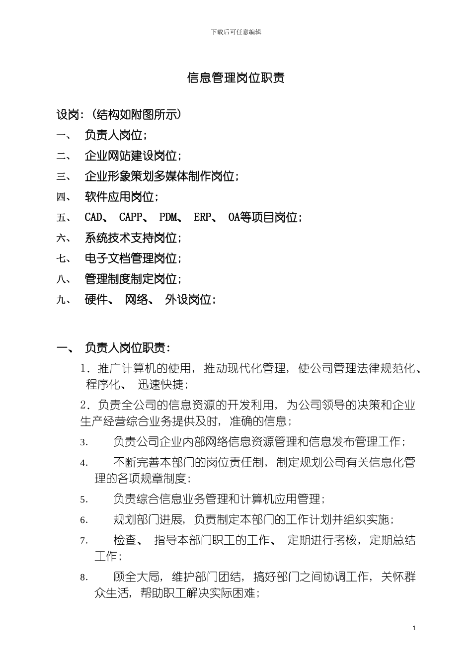 信息管理组织结构及职责模板_第2页