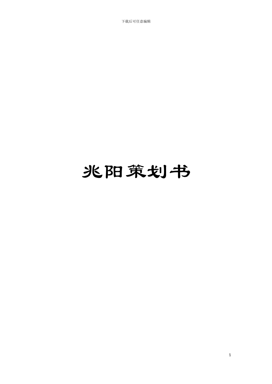 兆阳策划书模板_第1页