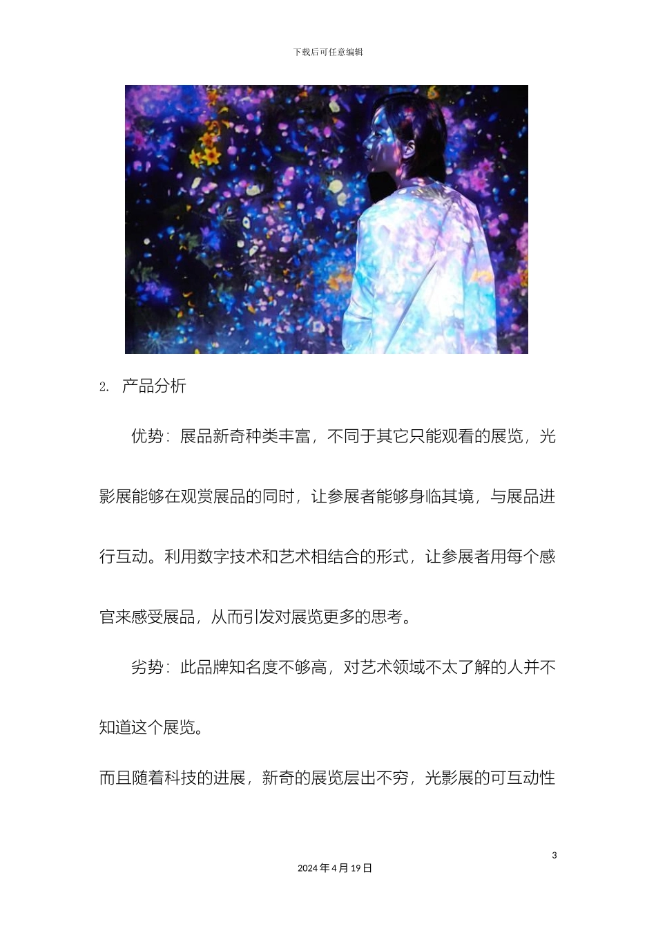 光影展网络营销推广方案_第3页