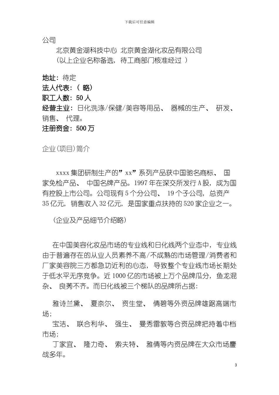 全国高校化妆品市场商业计划书模板_第3页