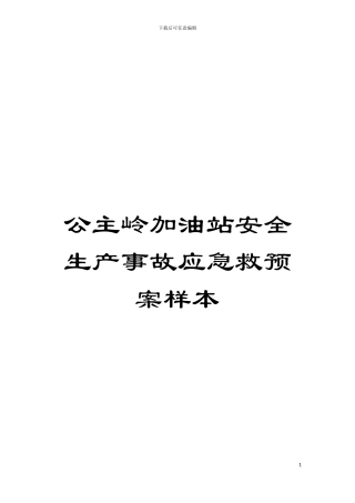 公主岭加油站安全生产事故应急救预案样本模板