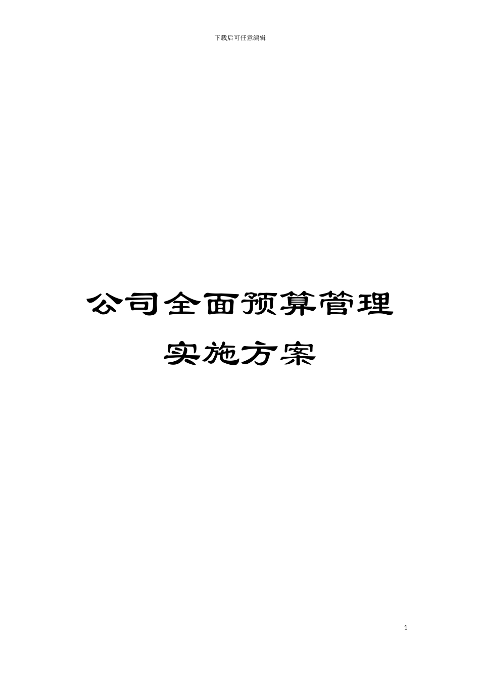 公司全面预算管理实施方案模板_第1页