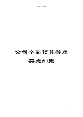 公司全面预算管理实施细则模板