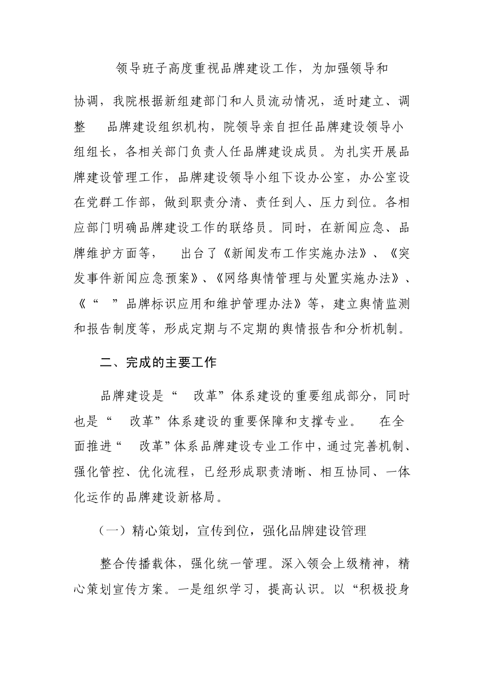 加强品牌建设力度彰显xx形象_第2页