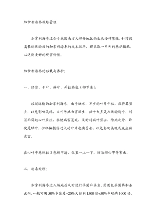 加拿利海枣栽培管理