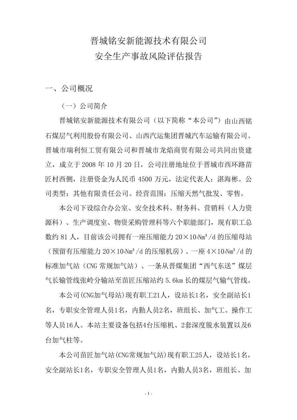 加气站风险评估报告范本_第1页