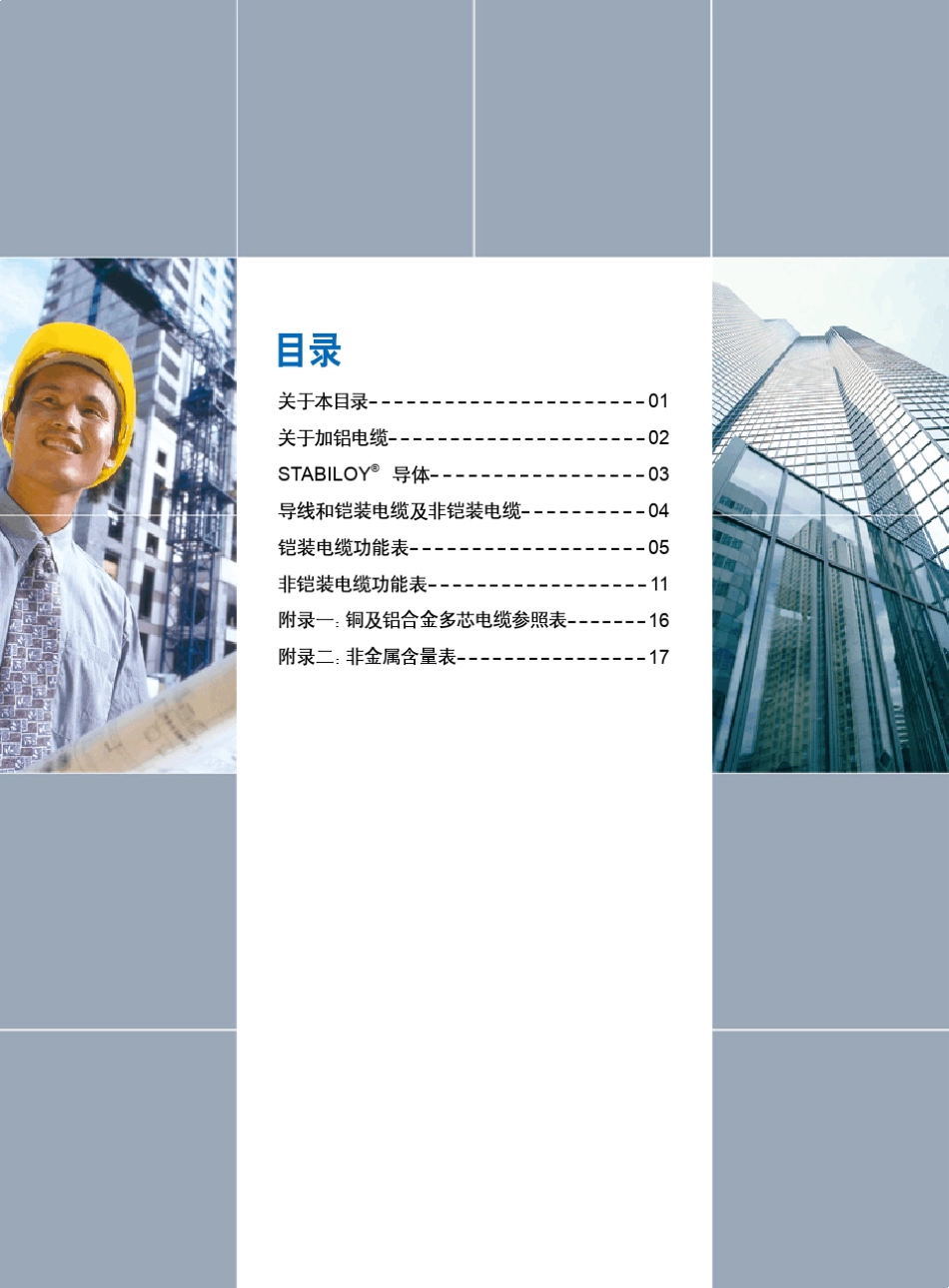 加铝(天津)世德合金电缆_第2页