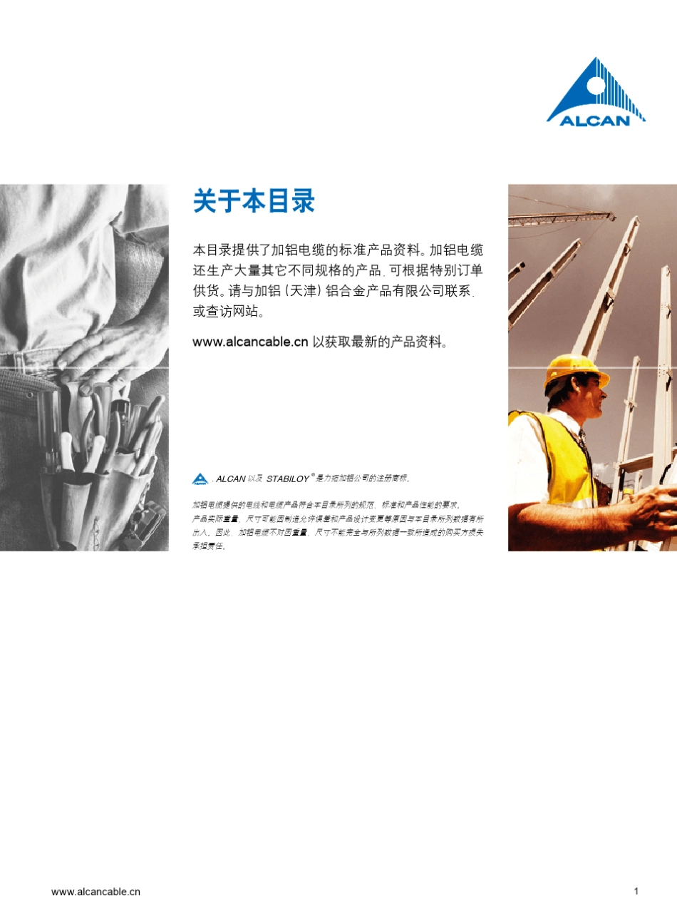 加铝(天津)世德合金电缆_第3页