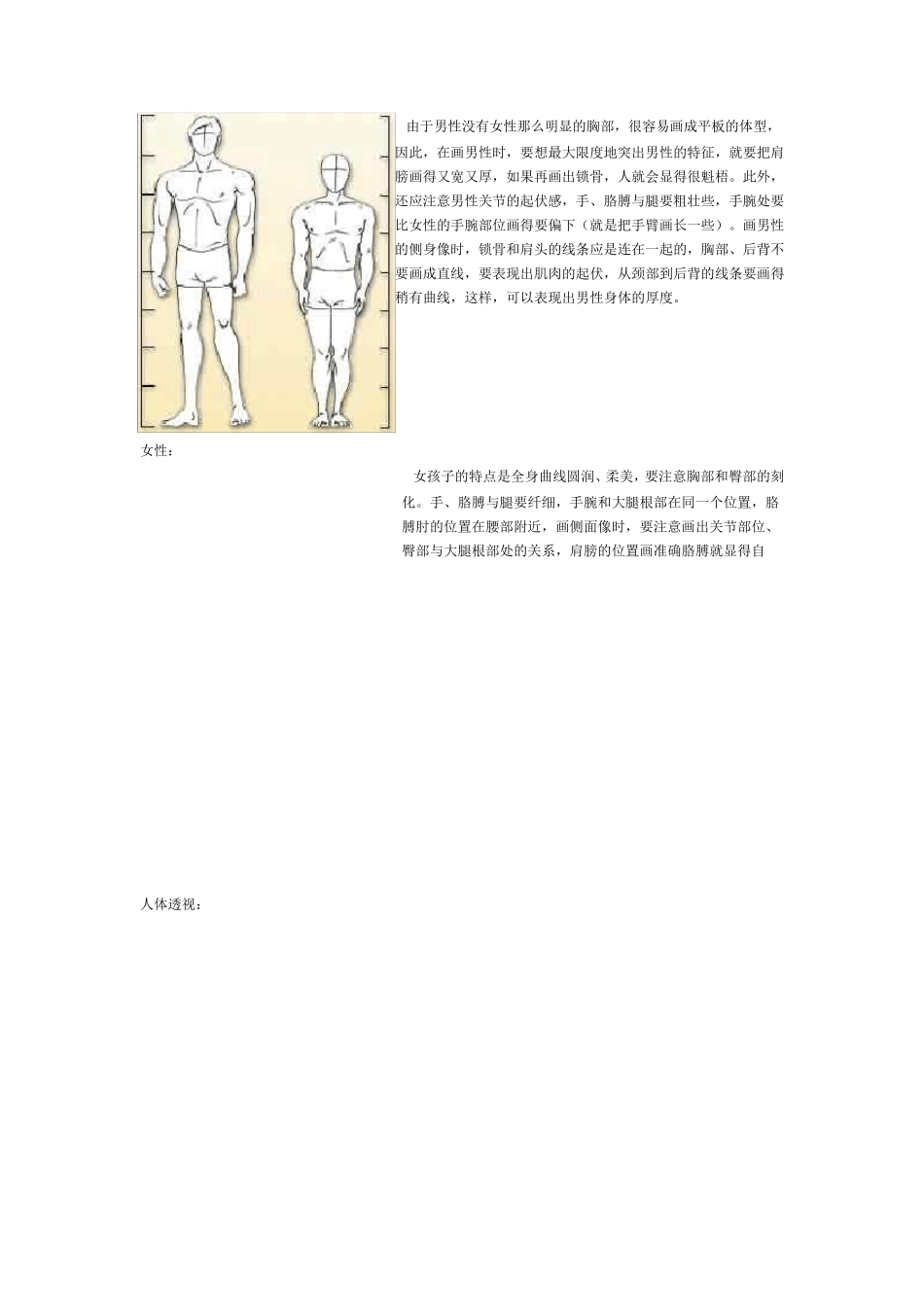 动漫绘画技巧人体结构_第3页