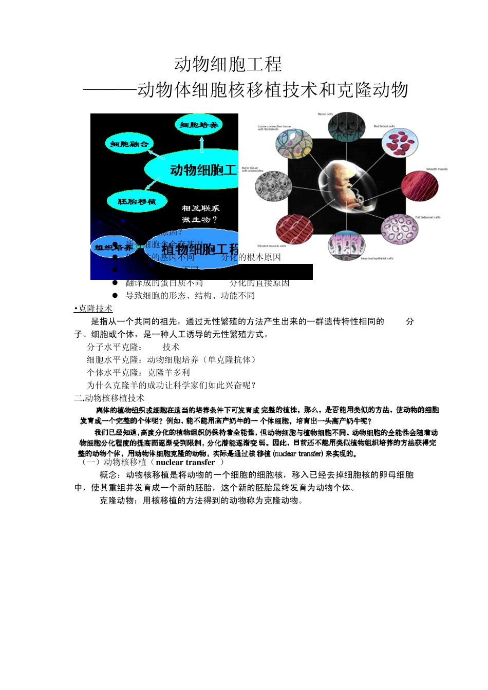 动物体细胞核移植技术和克隆动物教案_第2页