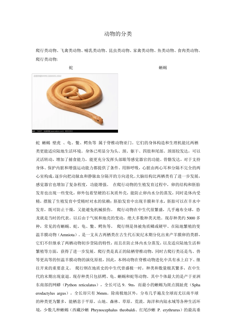 动物分类及图片_第1页