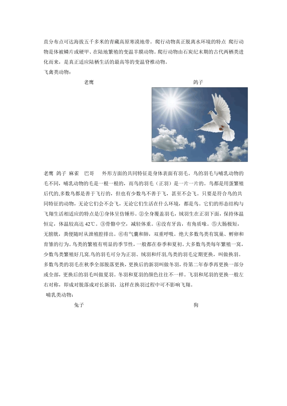 动物分类及图片_第2页