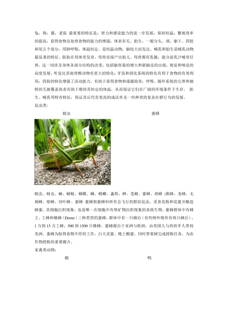 动物分类及图片_第3页