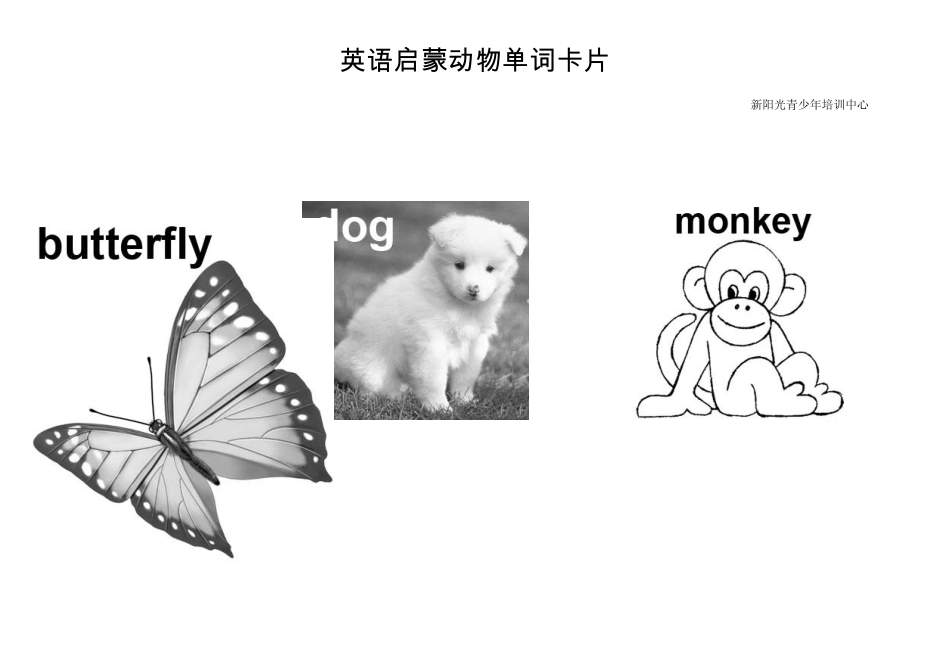 动物单词卡片_第1页