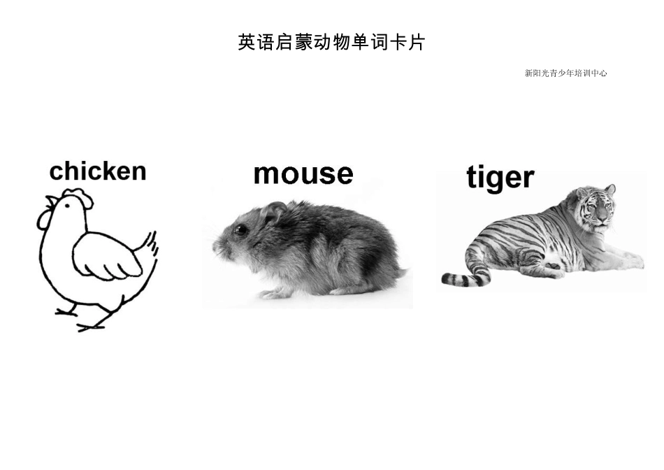 动物单词卡片_第2页