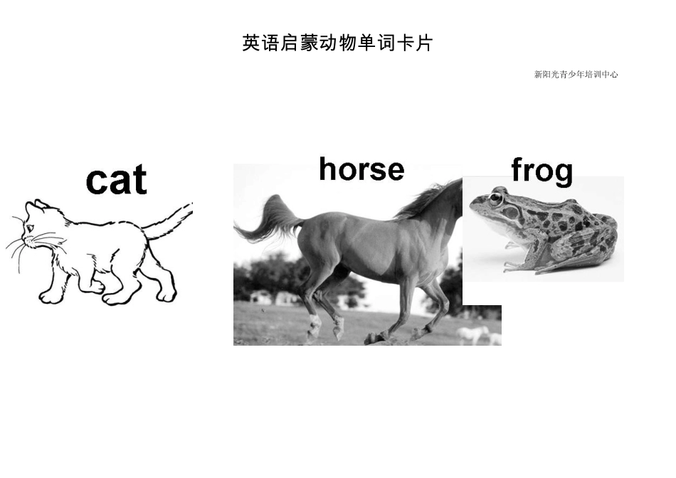动物单词卡片_第3页